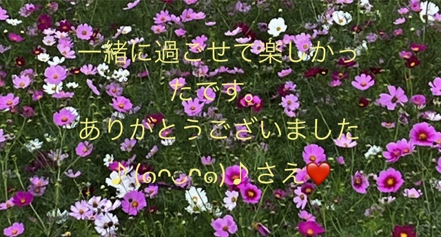 S様へ｜写メ日記｜さえ｜鶯谷 人妻デリヘル 性腺熟女100%鶯谷（デリヘル市場）