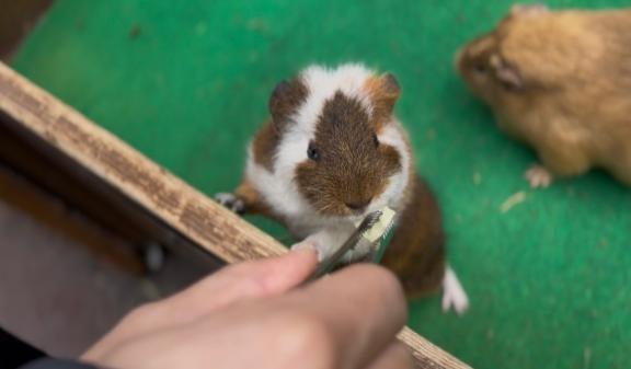 満喫｜写メ日記｜とあ｜鶯谷 人妻デリヘル ヌキすぎ注意♪妻み喰い イケちゃいますよ！