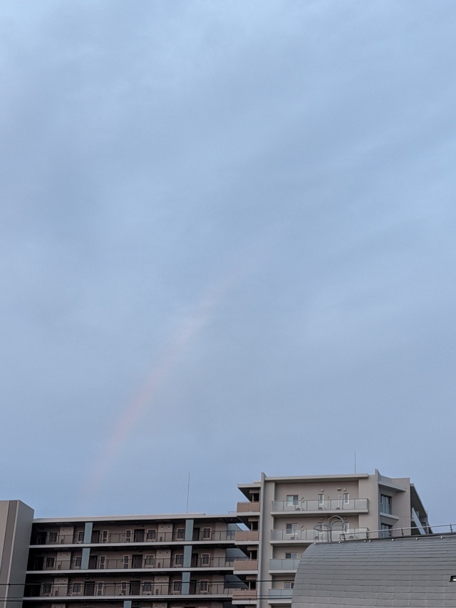 虹です💕｜写メ日記｜杉浦あやの｜上野・浅草・秋葉原 人妻デリヘル セカンドパートナー