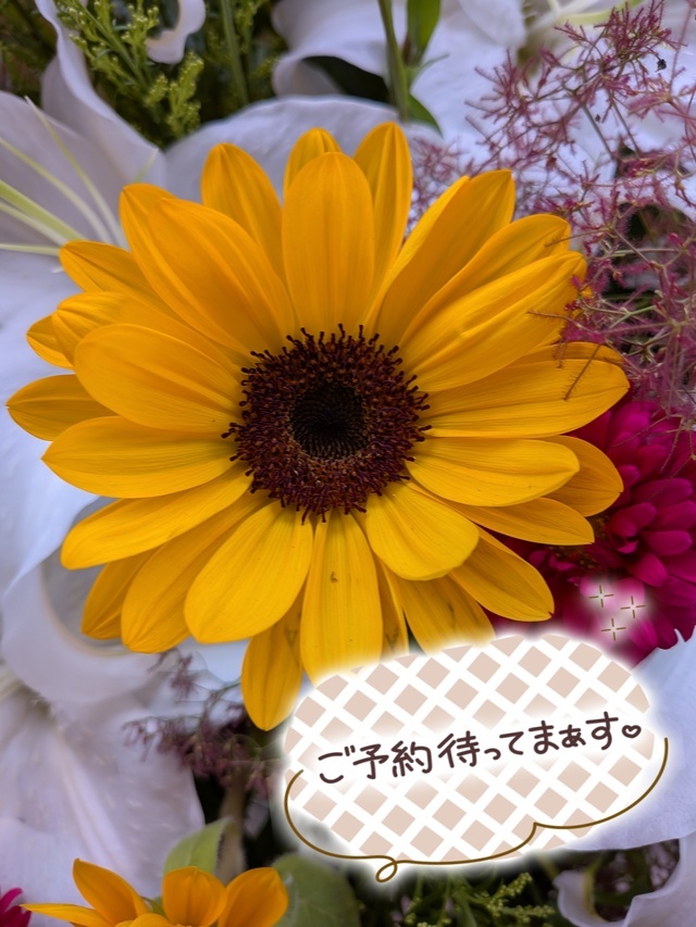 ☔️梅雨は、どこへ？🐸｜写メ日記｜杉浦あやの｜上野・浅草・秋葉原 人妻デリヘル セカンドパートナー
