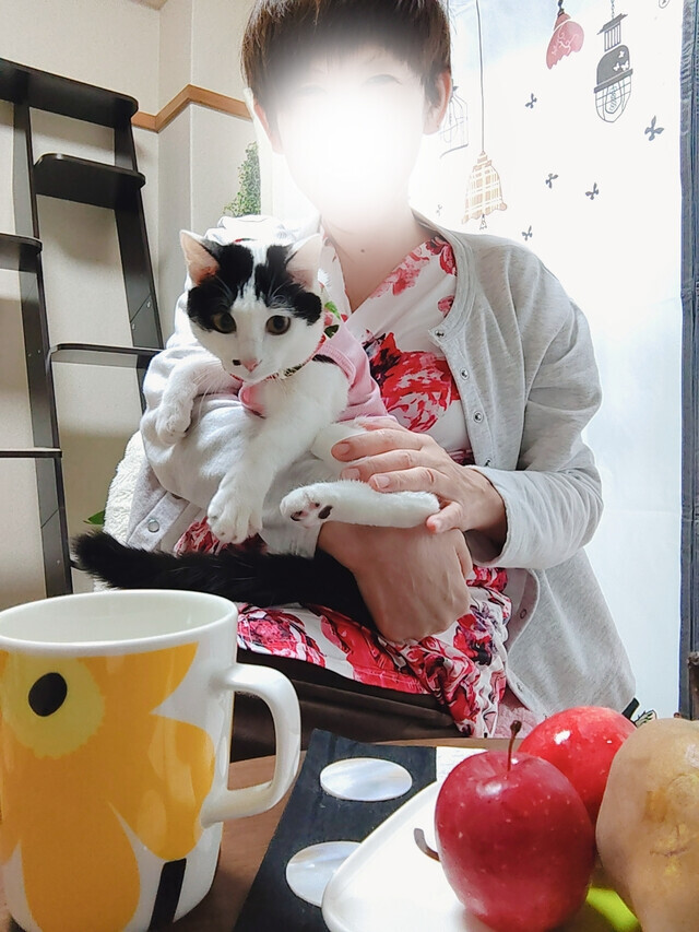 ラ・フランスの香り｜写メ日記｜立花きょうこ｜上野・浅草・秋葉原 人妻デリヘル セカンドパートナー