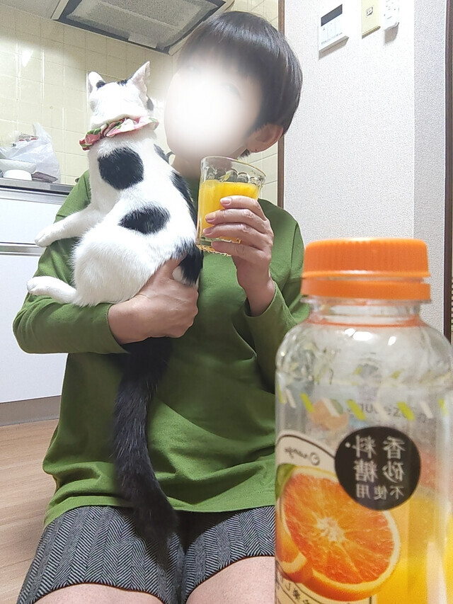 ふたりで歩く｜写メ日記｜立花きょうこ｜上野・浅草・秋葉原 人妻デリヘル セカンドパートナー