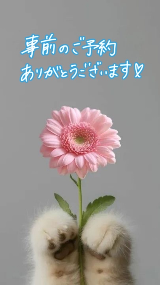 リクエストꕀꕤ*｡ﾟ｜写メ日記｜紺野りさ｜上野・浅草・秋葉原 人妻デリヘル セカンドパートナー