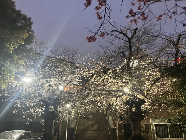 本日も｜写メ日記｜高倉あや｜上野・浅草・秋葉原 人妻デリヘル セカンドパートナー