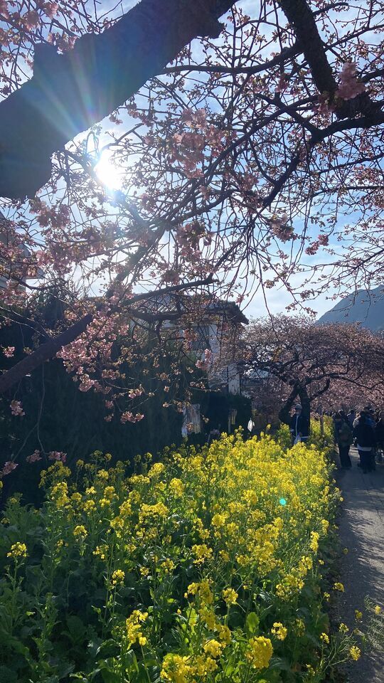 寒の戻りとぬくもり時間❤️｜写メ日記｜藤井かなこ｜上野・浅草・秋葉原 人妻デリヘル セカンドパートナー