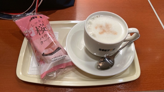 桜の季節、少し長めの春時間♡｜写メ日記｜藤井かなこ｜上野・浅草・秋葉原 人妻デリヘル セカンドパートナー