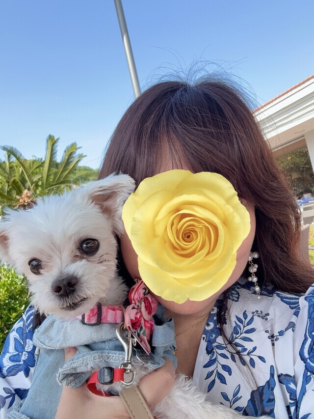 今日は、ワンコ旅行です🐶🐩