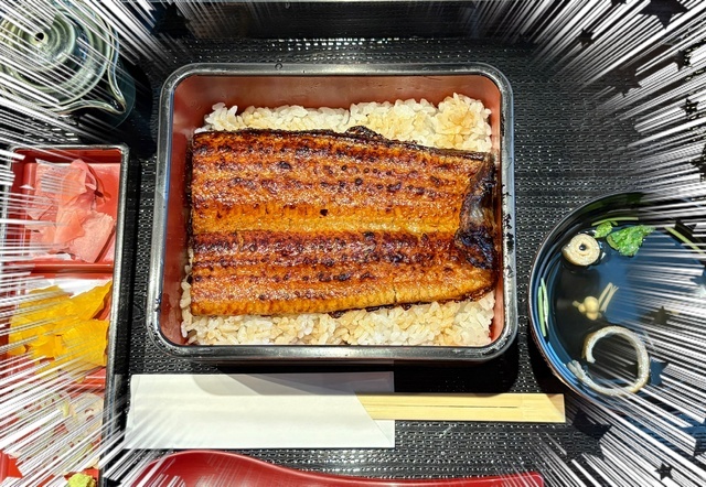 うなぎパワー✨｜写メ日記｜森川ほたる｜上野・浅草・秋葉原 人妻デリヘル セカンドパートナー