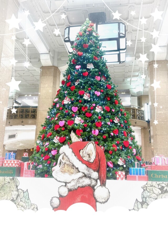 クリスマス⭐︎｜写メ日記｜森川ほたる｜上野・浅草・秋葉原 人妻デリヘル セカンドパートナー