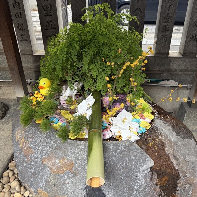 とろける甘さ｜写メ日記｜柚月はな｜上野・浅草・秋葉原 人妻デリヘル セカンドパートナー
