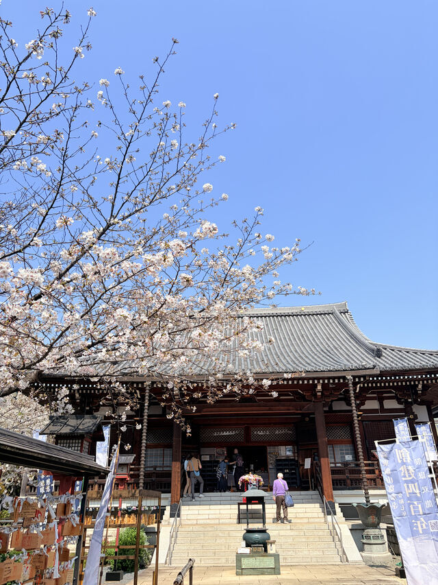 今日は｜写メ日記｜柚月はな｜上野・浅草・秋葉原 人妻デリヘル セカンドパートナー
