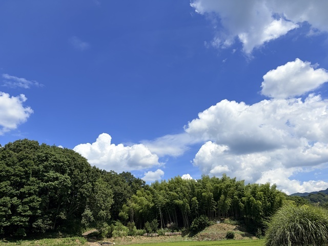 理想の田舎の風景｜写メ日記｜柚月はな｜上野・浅草・秋葉原 人妻デリヘル セカンドパートナー