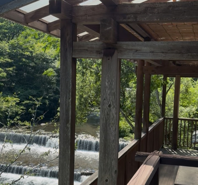 こんにちは☺️｜写メ日記｜目黒しずく｜上野・浅草・秋葉原 人妻デリヘル セカンドパートナー