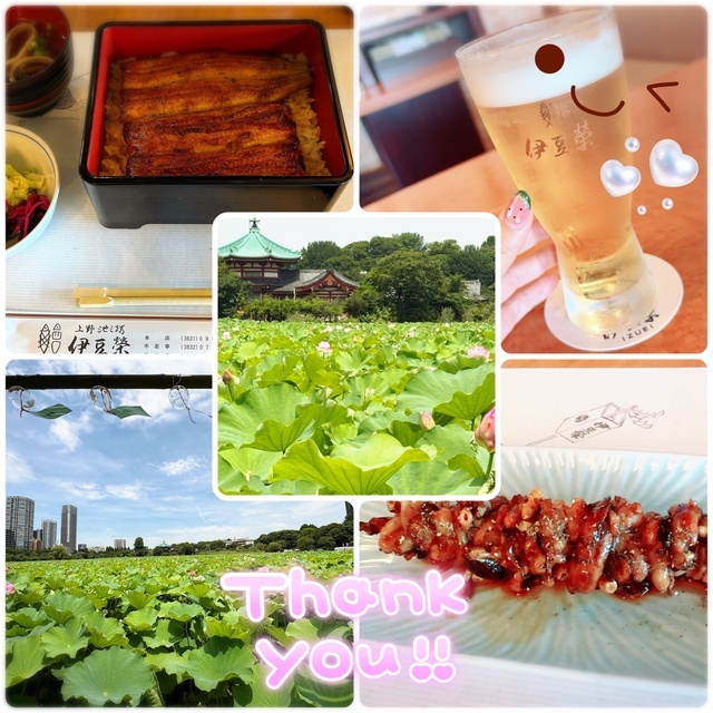夏バテしてない？｜写メ日記｜白石あいか｜上野・浅草・秋葉原 人妻デリヘル セカンドパートナー