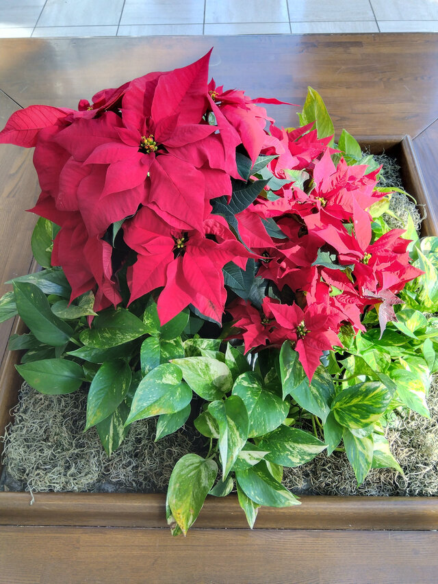 おはようございます｜写メ日記｜葉月ももか｜上野・浅草・秋葉原 人妻デリヘル セカンドパートナー