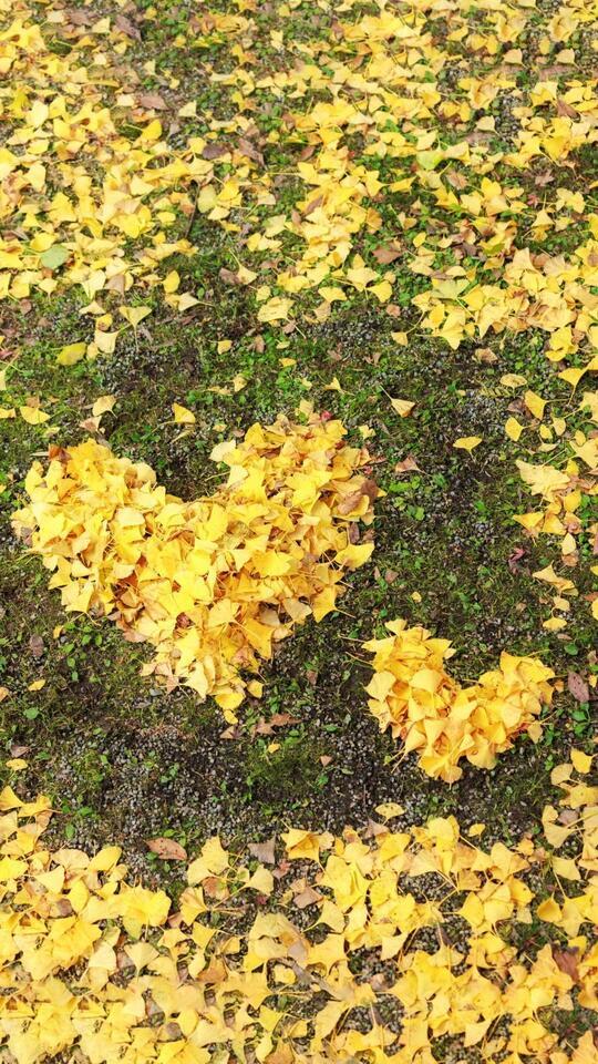 今週も❗️｜写メ日記｜葉月ももか｜上野・浅草・秋葉原 人妻デリヘル セカンドパートナー