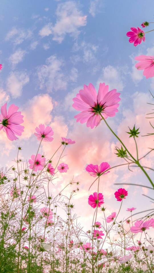 ありがとうございました！｜写メ日記｜葉月ももか｜上野・浅草・秋葉原 人妻デリヘル セカンドパートナー