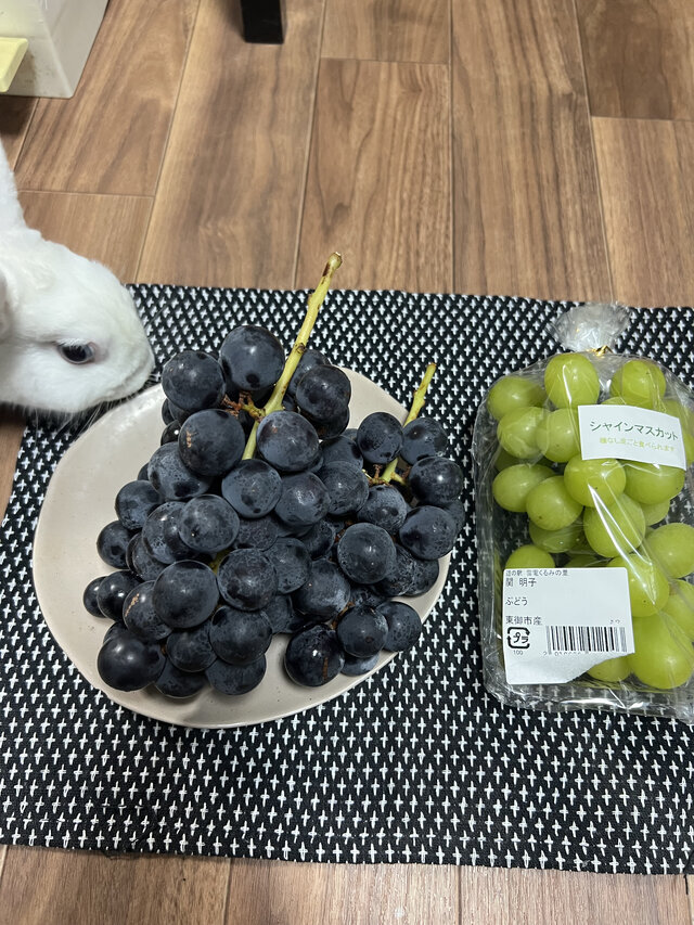 秋の香りがしてまいりました