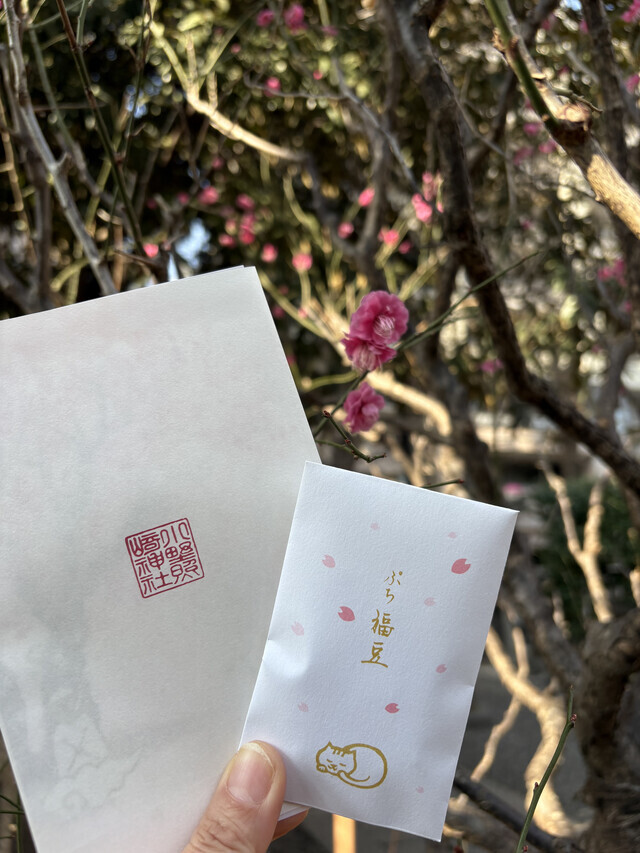 本日のお礼です。｜写メ日記｜松岡みつる｜上野・浅草・秋葉原 人妻デリヘル セカンドパートナー