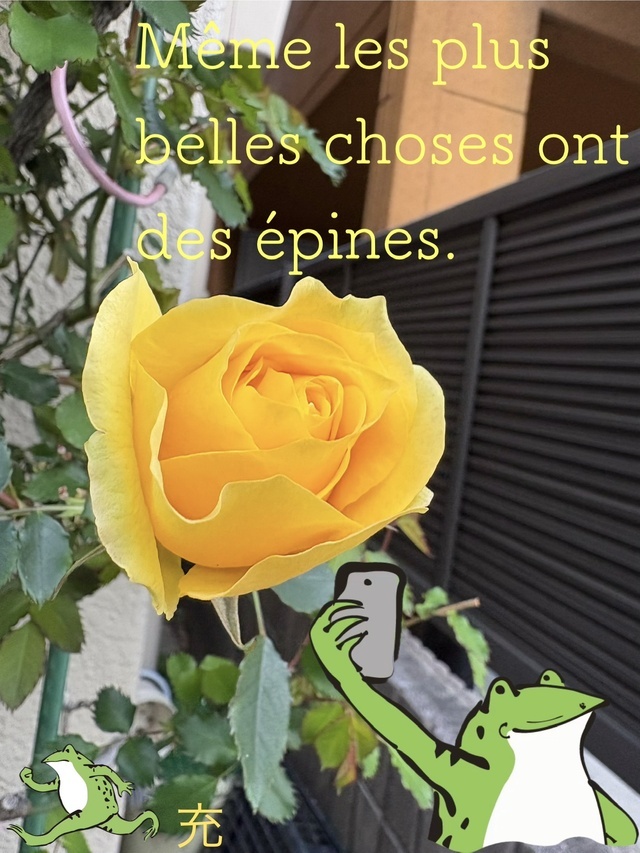 暖かい日曜日｜写メ日記｜松岡みつる｜上野・浅草・秋葉原 人妻デリヘル セカンドパートナー