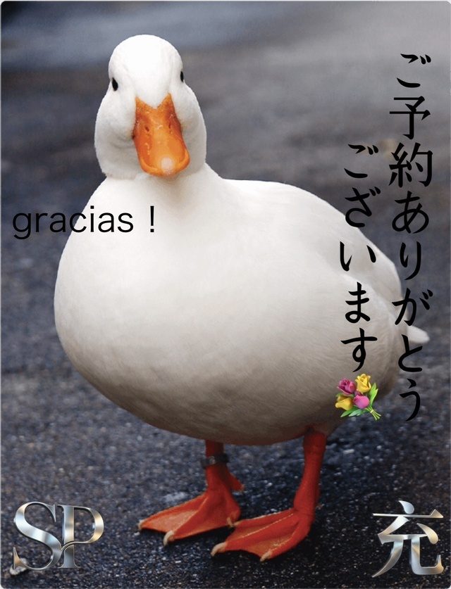 ご予約ありがとうございます。｜写メ日記｜松岡みつる｜上野・浅草・秋葉原 人妻デリヘル セカンドパートナー