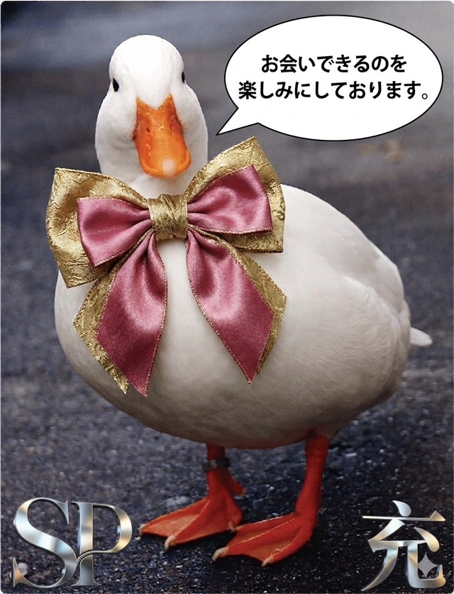 ご予約ありがとうございます。｜写メ日記｜松岡みつる｜上野・浅草・秋葉原 人妻デリヘル セカンドパートナー