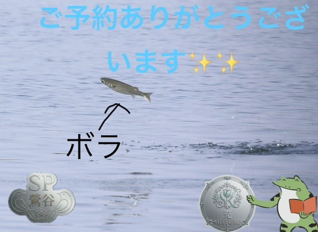 ご予約ありがとうございます。｜写メ日記｜松岡みつる｜上野・浅草・秋葉原 人妻デリヘル セカンドパートナー
