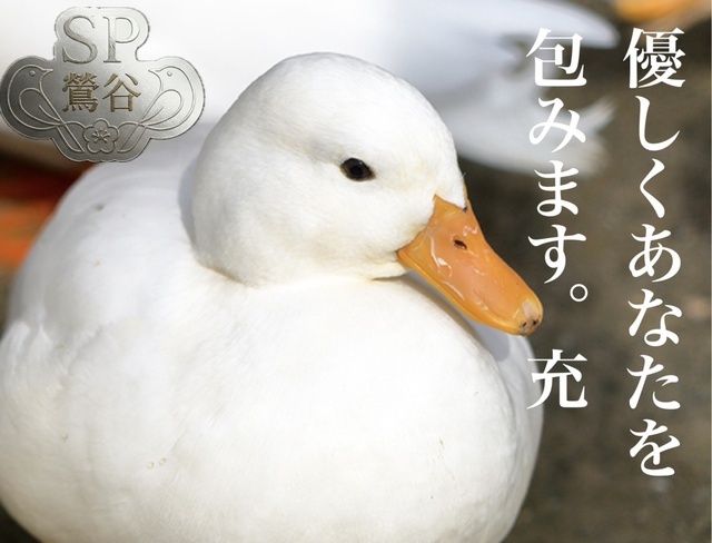 ご予約ありがとうございます。｜写メ日記｜松岡みつる｜上野・浅草・秋葉原 人妻デリヘル セカンドパートナー