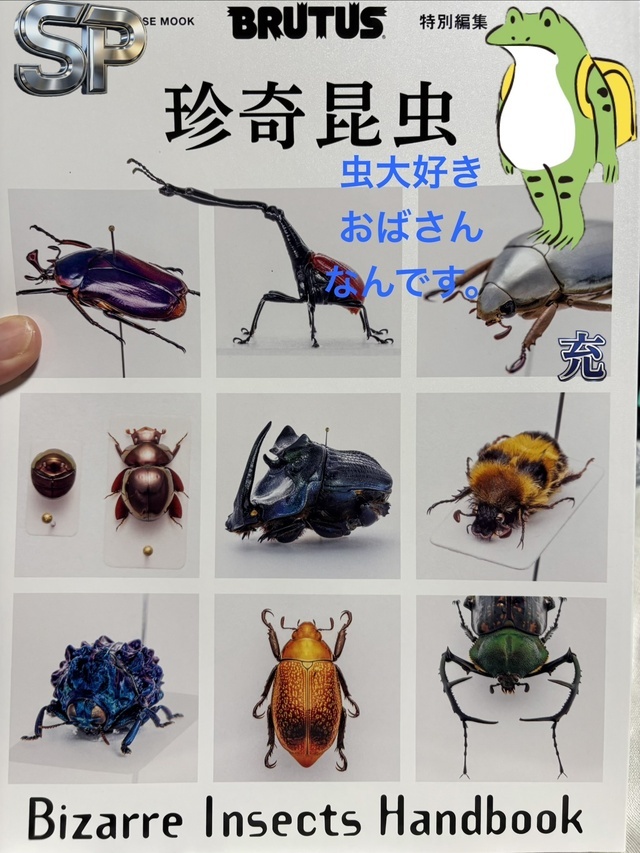 買っちゃった