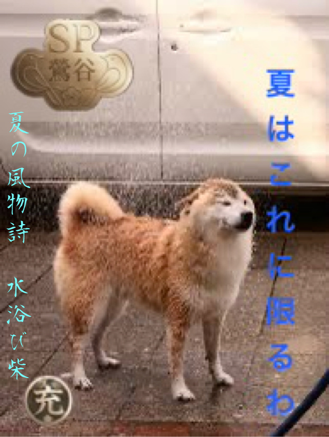 昨日のお礼です。｜写メ日記｜松岡みつる｜上野・浅草・秋葉原 人妻デリヘル セカンドパートナー