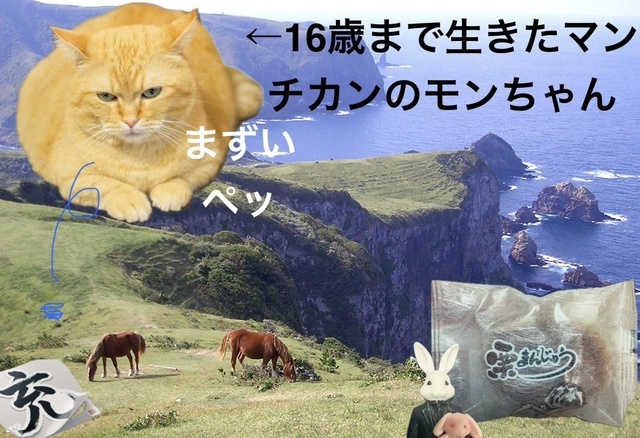 30日のお礼です。｜写メ日記｜松岡みつる｜上野・浅草・秋葉原 人妻デリヘル セカンドパートナー