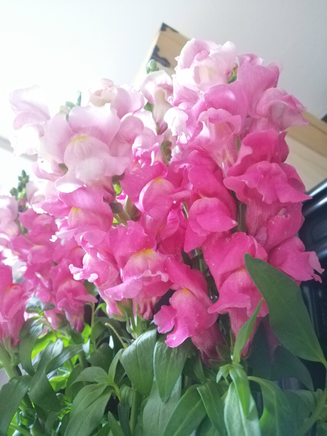 11月のよてい｜写メ日記｜野原るう｜上野・浅草・秋葉原 人妻デリヘル セカンドパートナー