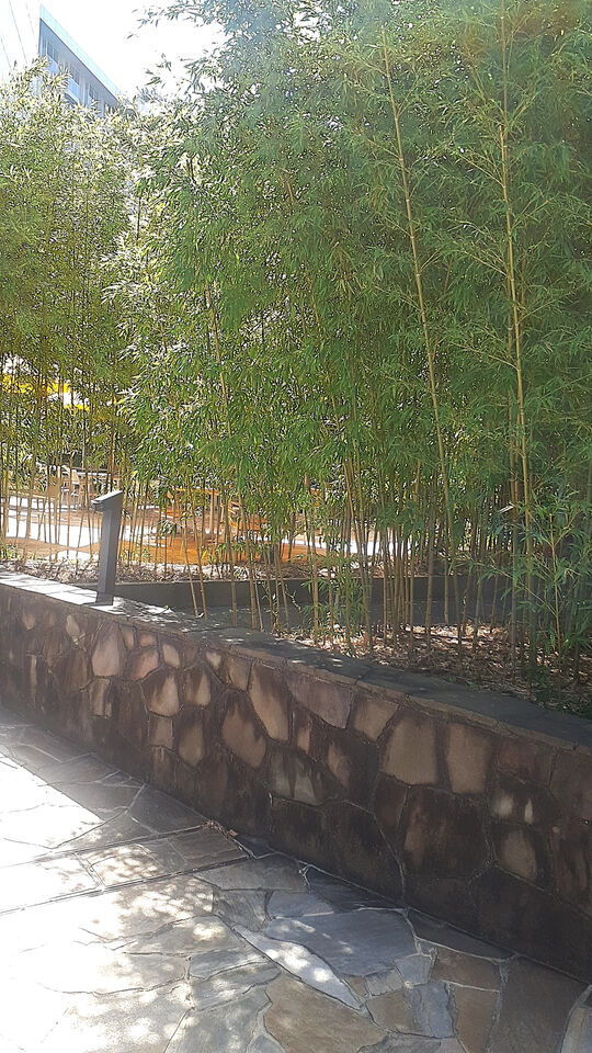 気持ちのよい｜写メ日記｜石原やえ｜上野・浅草・秋葉原 人妻デリヘル セカンドパートナー