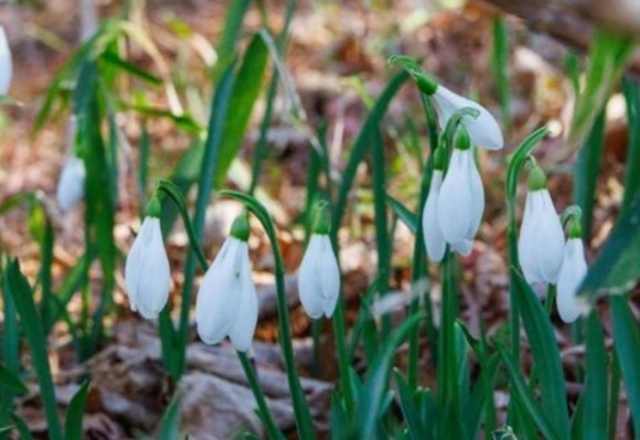 今日で｜写メ日記｜石原やえ｜上野・浅草・秋葉原 人妻デリヘル セカンドパートナー