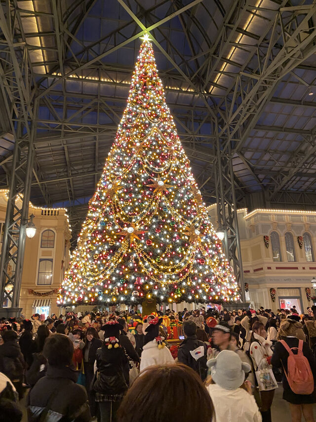 出勤しました｜写メ日記｜中山きよせ｜上野・浅草・秋葉原 人妻デリヘル セカンドパートナー