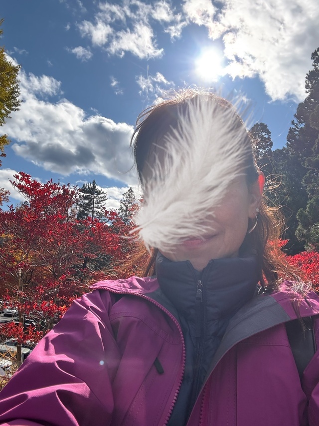 こんにちは｜写メ日記｜中村あんな｜上野・浅草・秋葉原 人妻デリヘル セカンドパートナー