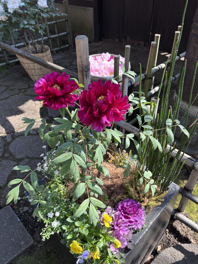 出勤日✨｜写メ日記｜中村あんな｜上野・浅草・秋葉原 人妻デリヘル セカンドパートナー