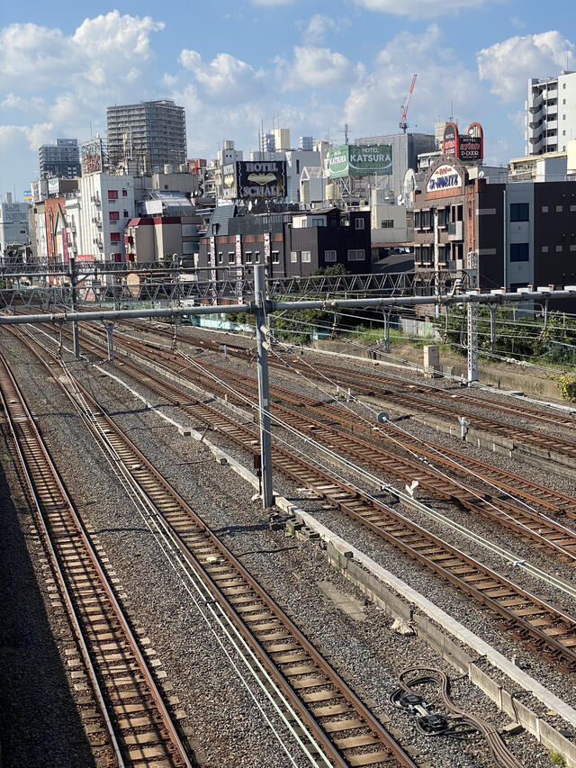 出勤しました〜♡｜写メ日記｜夏目まなか｜上野・浅草・秋葉原 人妻デリヘル セカンドパートナー