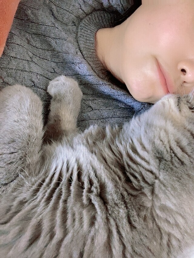 ラスト枠のみ｜写メ日記｜鈴木いのり｜上野・浅草・秋葉原 人妻デリヘル セカンドパートナー