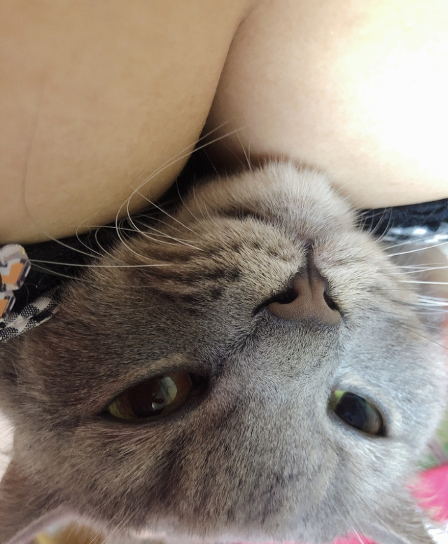 ほんとだった……！｜写メ日記｜鈴木いのり｜上野・浅草・秋葉原 人妻デリヘル セカンドパートナー