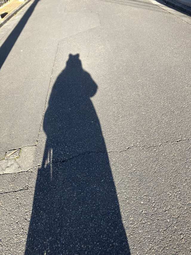 30日は｜写メ日記｜鈴木いのり｜上野・浅草・秋葉原 人妻デリヘル セカンドパートナー