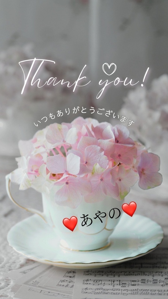 感謝100倍。❤️｜写メ日記｜石川ゆの｜上野・浅草・秋葉原 人妻デリヘル セカンドパートナー