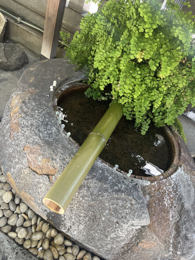 朝活｜写メ日記｜石川ゆの｜上野・浅草・秋葉原 人妻デリヘル セカンドパートナー