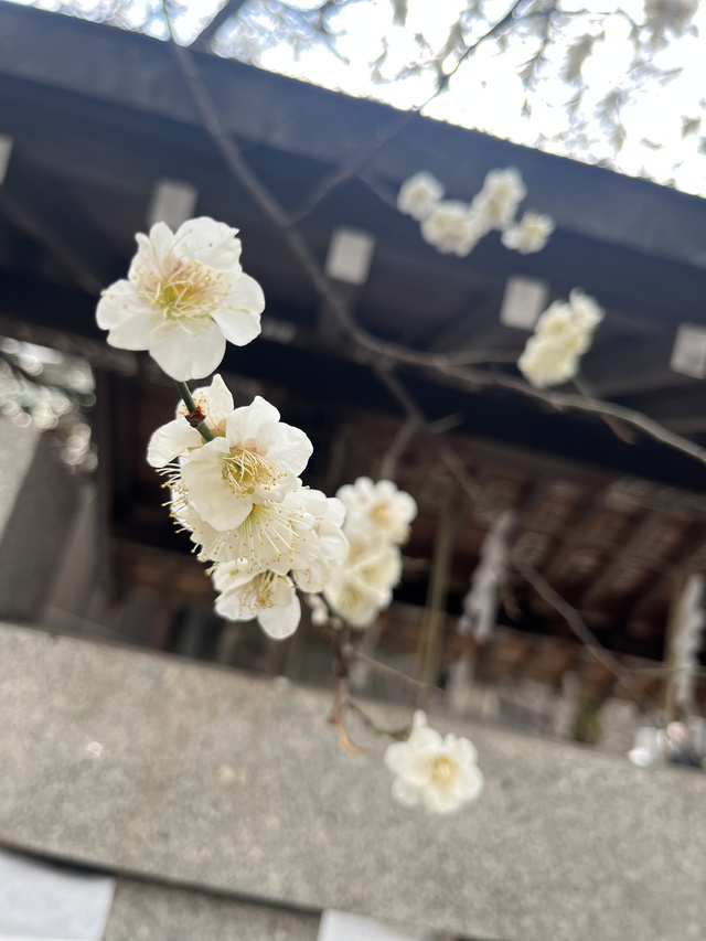 U駅S様｜写メ日記｜石川ゆの｜上野・浅草・秋葉原 人妻デリヘル セカンドパートナー