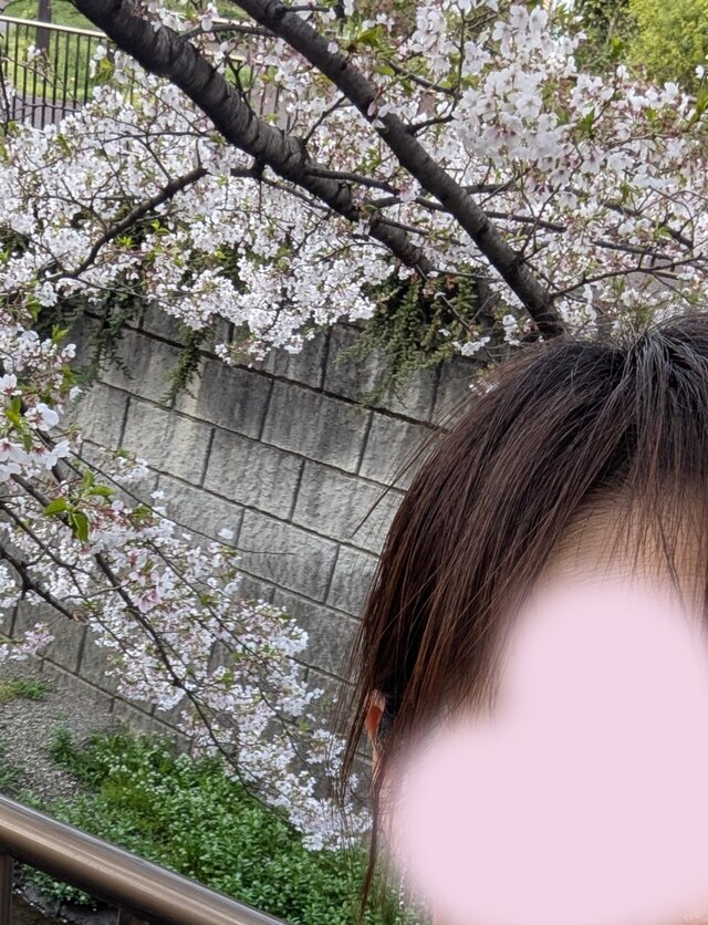 葉さくら｜写メ日記｜夏原みく｜上野・浅草・秋葉原 人妻デリヘル セカンドパートナー