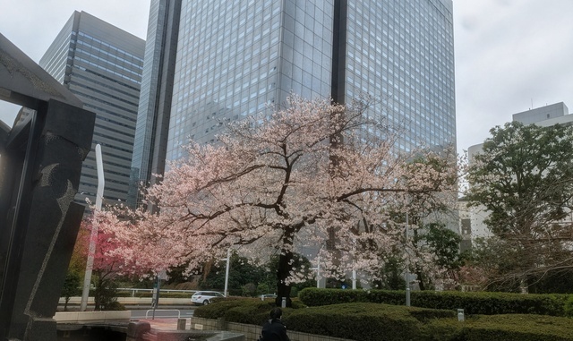 フォロー｜写メ日記｜夏原みく｜上野・浅草・秋葉原 人妻デリヘル セカンドパートナー