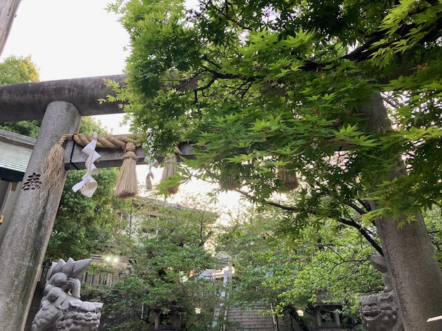 感謝｜写メ日記｜神乃みこ｜上野・浅草・秋葉原 人妻デリヘル セカンドパートナー