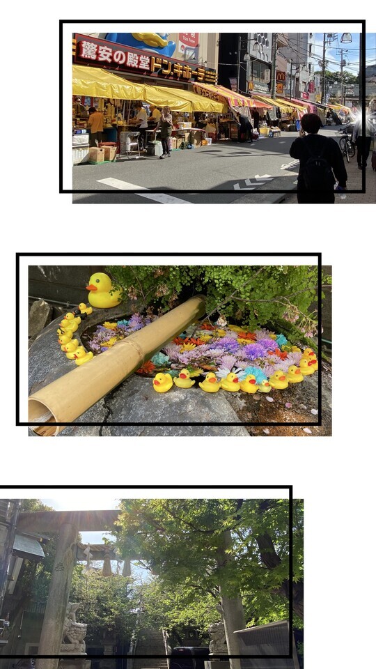 土日も｜写メ日記｜白鳥ゆうき｜上野・浅草・秋葉原 人妻デリヘル セカンドパートナー