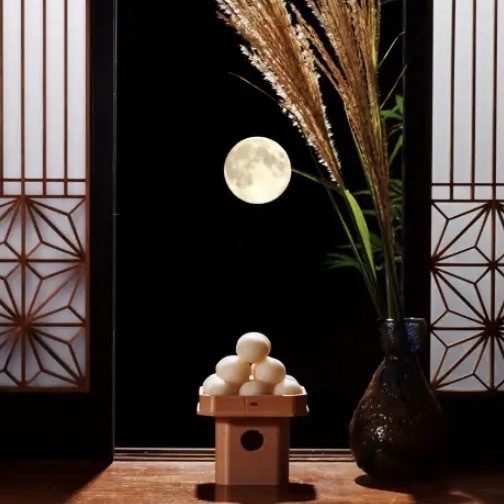 画像少し早いですね｜写メ日記｜白鳥ゆうき｜上野・浅草・秋葉原 人妻デリヘル セカンドパートナー