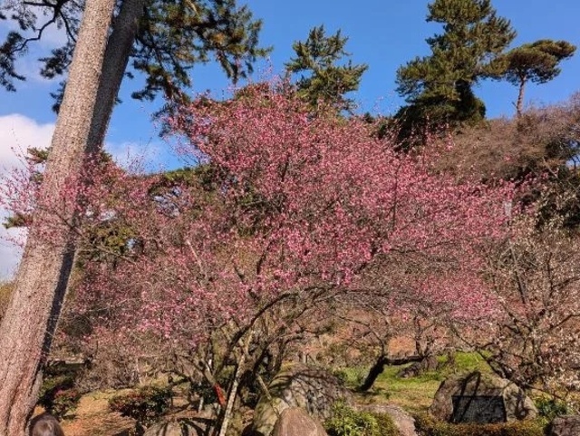こんばんは🌙｜写メ日記｜松村（まつむら）｜品川・五反田 人妻デリヘル 不倫快感